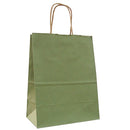 Natural Tints with Shadow Stripes Paper Bag