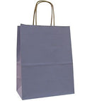 Natural Tints with Shadow Stripes Paper Bag