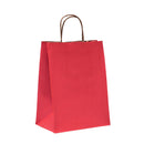 Natural Tints with Shadow Stripes Paper Bag