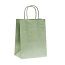 Natural Tints with Shadow Stripes Paper Bag
