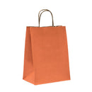 Natural Tints with Shadow Stripes Paper Bag