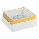 Two-tone Paper Large Universal Box with Gold Accent