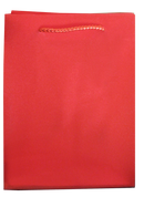 Glitter Bag