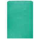 Colored Flat Paper Merchandise Bag