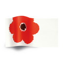 Botanicals and Special Occasions Printed Tissue Paper