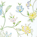 Botanicals and Special Occasions Printed Tissue Paper