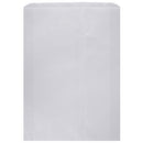 White Flat Paper Merchandise Bag