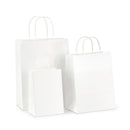 Combo Pack! Paper Bags with Twisted Paper Handles