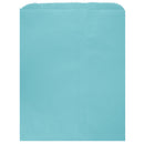 Colored Flat Paper Merchandise Bag
