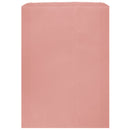 Colored Flat Paper Merchandise Bag